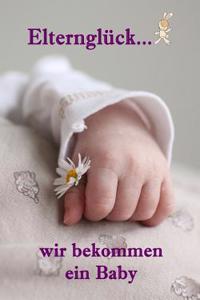 Elterngluck...Wir Bekommen Ein Baby: Alles Rund Um Schwangerschaft, Geburt Und Babyschlaf! (Schwangerschafts-Ratgeber)