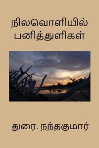 Nilavoliyil Panithuligal