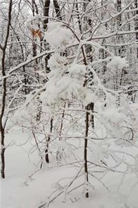 Journal After Snowstorm Winter Picture