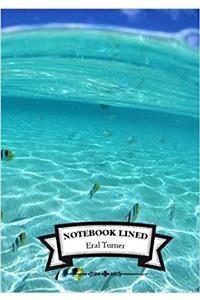 Lined Notebook - Sea: Notebook Journal Diary, 110 Lined Pages, 7 X 10