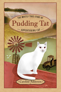 Mostly True Story of Pudding Tat, Adventuring Cat