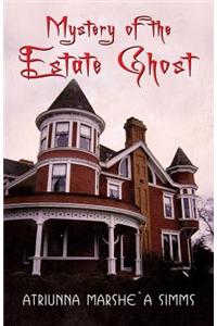 Mystery of the Estate Ghost