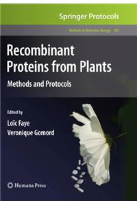 Recombinant Proteins from Plants