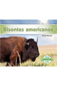 Bisontes Americanos (American Bison)