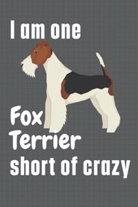 I am one Fox Terrier short of crazy
