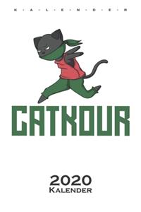 Parkour mit Katze 