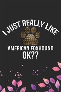 I Just Really Like American Foxhound Ok?