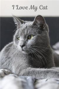 I Love My Cat