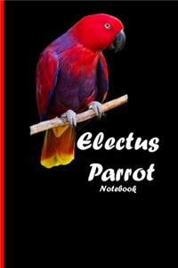 Electus-Parrot Notebook: Beautiful notebook with bird motive. 6"x9" inch