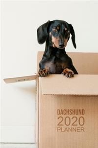 Dachshund Planner