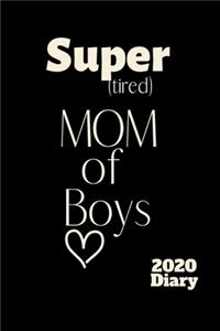 Super (tired) MOM of Boys 2020 Diary