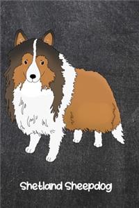 Shetland Sheepdog