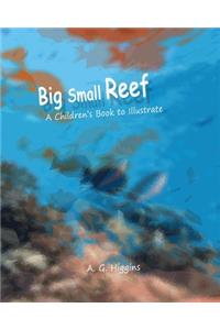 Big Small Reef