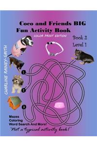 Coco and Friends BIG Fun Activity Book