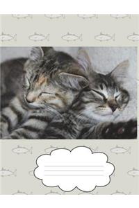 Cute Kittens Composition Book