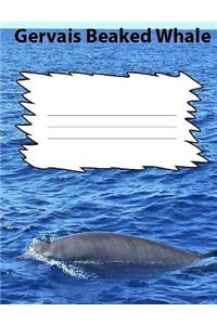 Gerva's Beaked Whale Wide Ruled Line Paper Composition Book