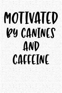 Motivated by Canines and Caffeine