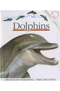 Dolphins