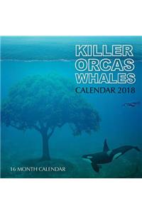 Killer Whales Orcas Calendar 2018