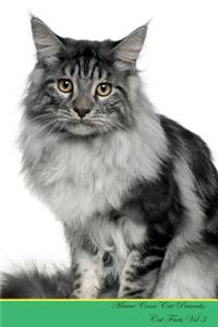 Maine Coon Cat Presents