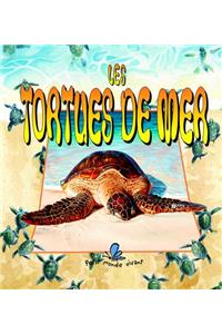 Les Tortues de Mer