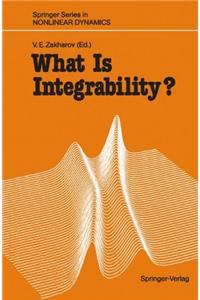 What is Integrability?