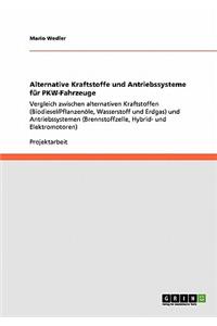 Alternative Kraftstoffe und Antriebssysteme für PKW-Fahrzeuge