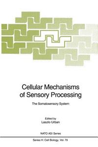 Cellular Mechanisms of Sensory Processing