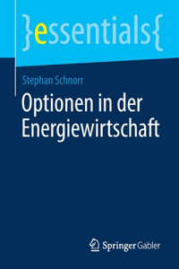 Optionen in Der Energiewirtschaft