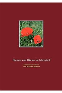 Blumen und Bäume im Jahreslauf