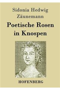 Poetische Rosen in Knospen