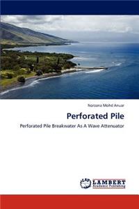 Perforated Pile