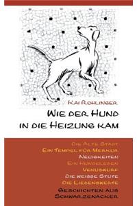 Wie der Hund in die Heizung kam