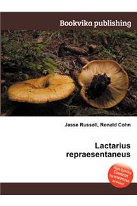 Lactarius Repraesentaneus