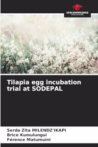 Tilapia egg incubation trial at SODEPAL