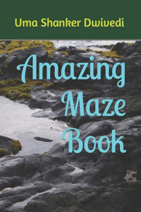 Amazing Maze Book