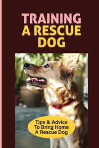 Training A Rescue Dog