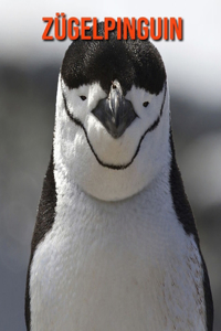 Zügelpinguin