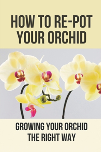 How To Re-Pot Your Orchid