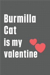 Burmilla Cat is my valentine