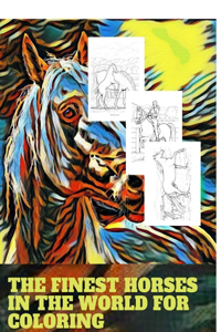 The finest horses in the world for coloring