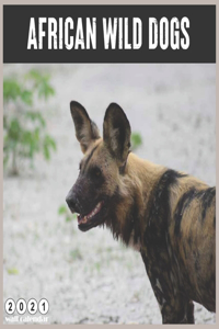 African Wild Dogs 2021 Calendar