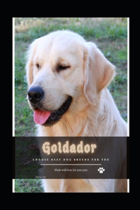 Goldador
