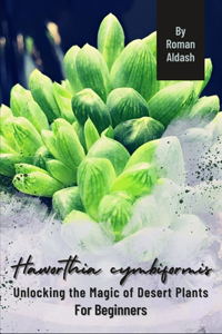 Haworthia cymbiformis