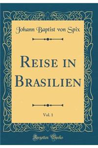 Reise in Brasilien, Vol. 1 (Classic Reprint)