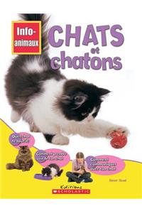 Info-Animaux: Chats Et Chatons