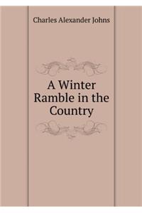 A Winter Ramble in the Country