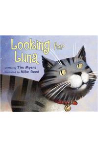 Looking for Luna