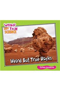 Weird But True Rocks