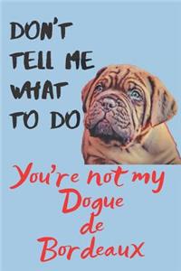 Don't tell me Dogue de Bordeaux Blank Lined Journal Notebook